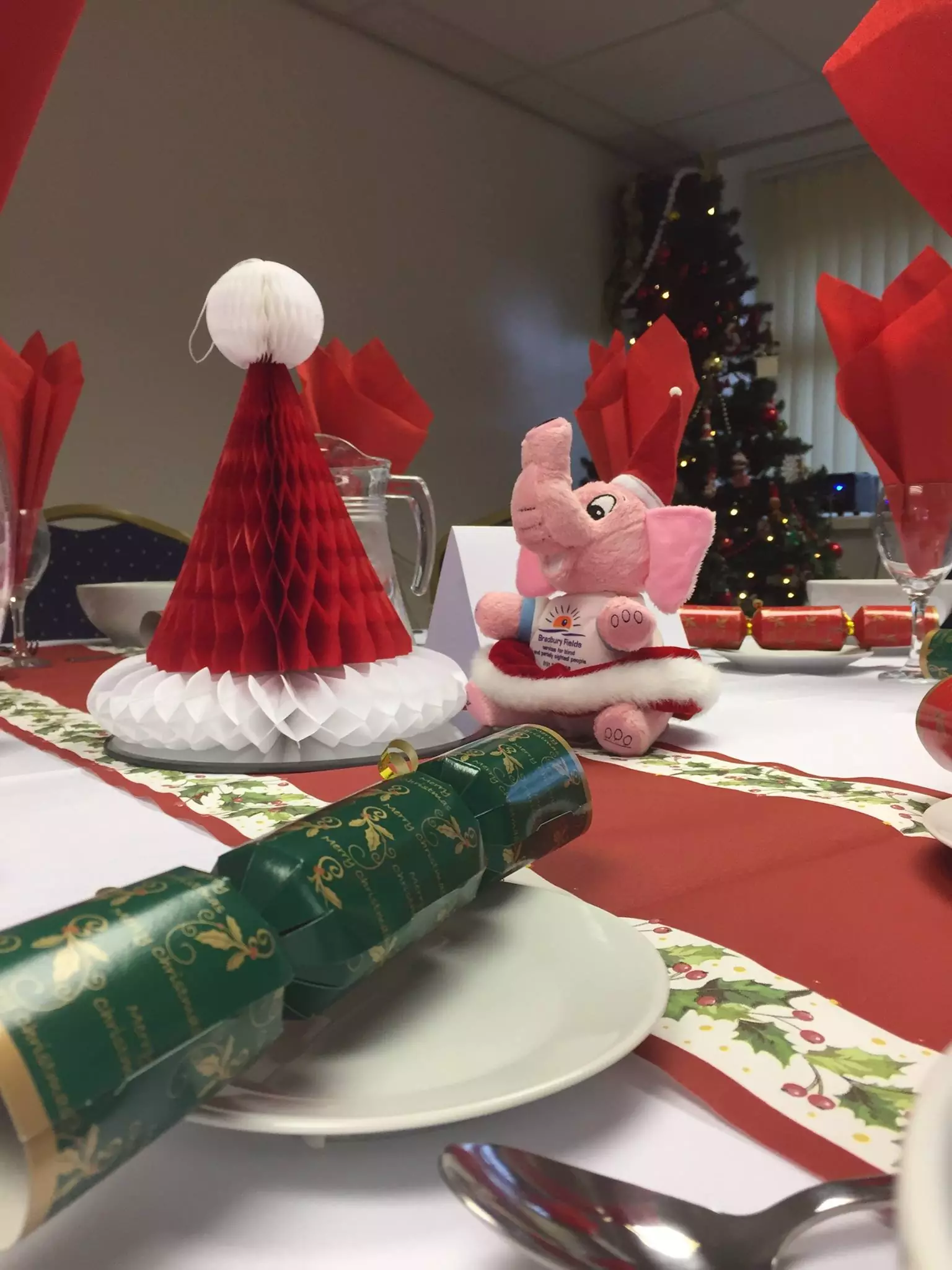 http://Brad%20is%20wearing%20a%20Santa%20hat%20and%20skirt%20sitting%20on%20a%20table%20all%20set%20for%20a%20traditional%20Christmas%20dinner%20with%20crackers%20and%20a%20Santa%20hat%20centrepiece.%20There%20is%20a%20decorated%20Christmas%20tree%20in%20the%20background.